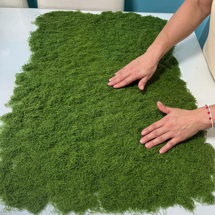 MUSGO NAVIDEÑO TENDENCIA 2025- PARA PESEBRES Y DECORACIONES